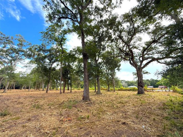 Lot 12A1 Cr 345, Brazoria, TX 77422