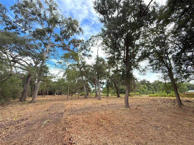 Lot 12A1 Cr 345, Brazoria, TX 77422