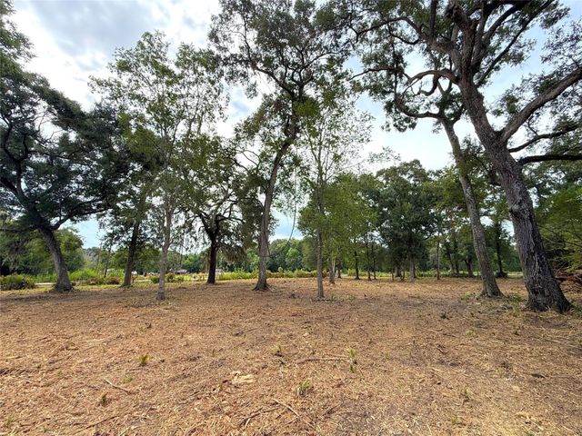 Lot 12A1 Cr 345, Brazoria, TX 77422