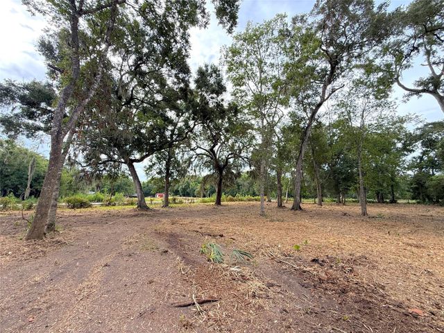 Lot 12A1 Cr 345, Brazoria, TX 77422