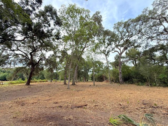 Lot 12A1 Cr 345, Brazoria, TX 77422
