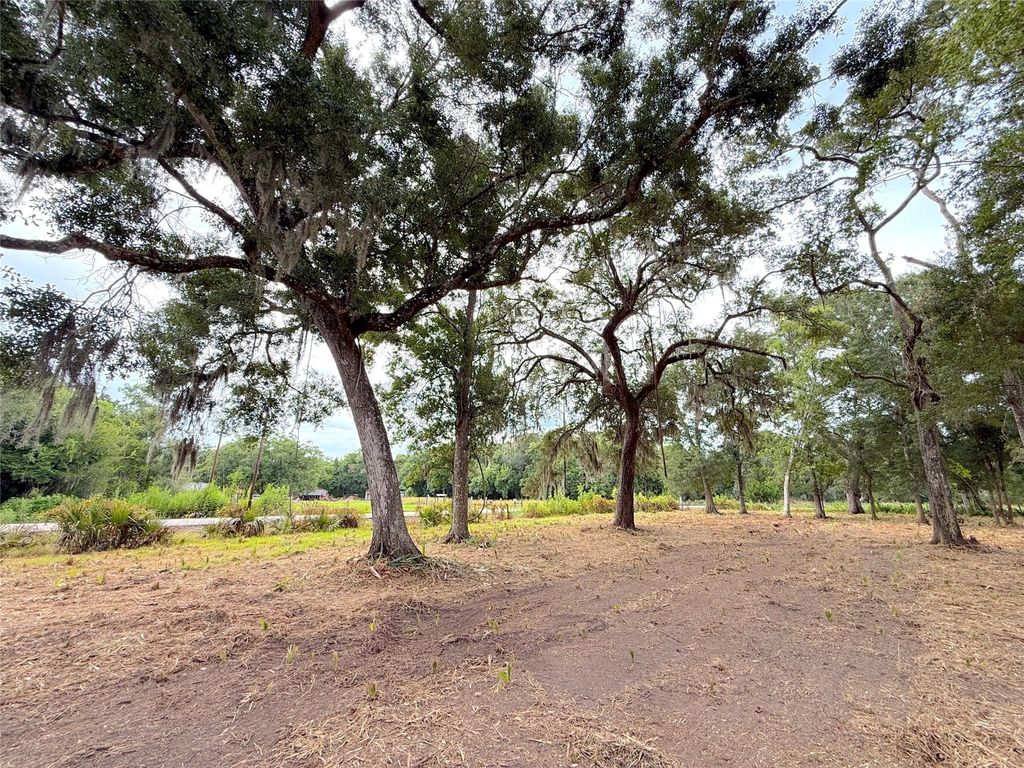 Lot 12A1 Cr 345, Brazoria, TX 77422