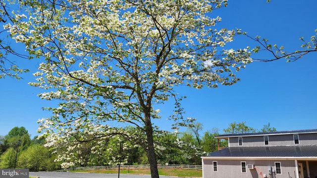 6478 LAUREL HILL LN, Rixeyville, VA 22737