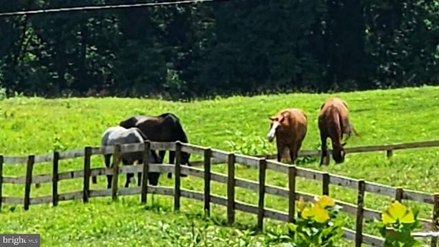 6478 LAUREL HILL LN, Rixeyville, VA 22737