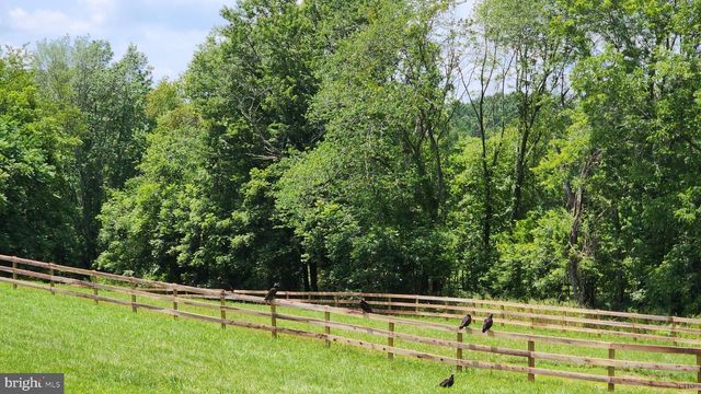 6478 LAUREL HILL LN, Rixeyville, VA 22737