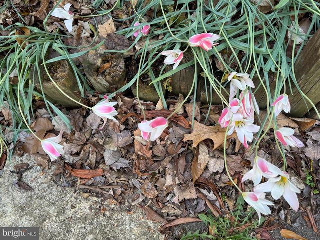 13855 LAURA RATCLIFF CT, Centreville, VA 20121