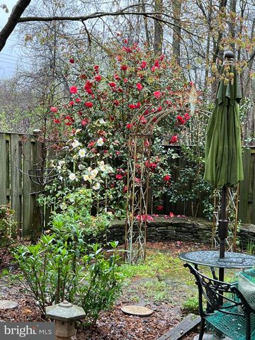 13855 LAURA RATCLIFF CT, Centreville, VA 20121