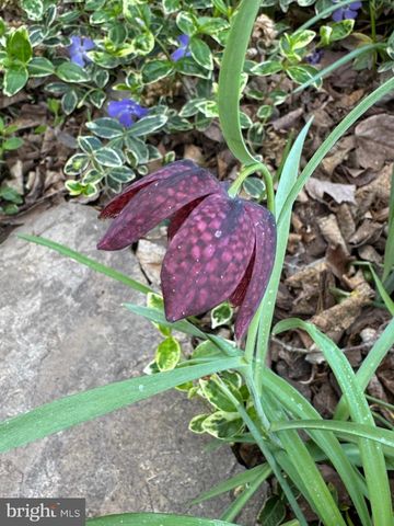 13855 LAURA RATCLIFF CT, Centreville, VA 20121