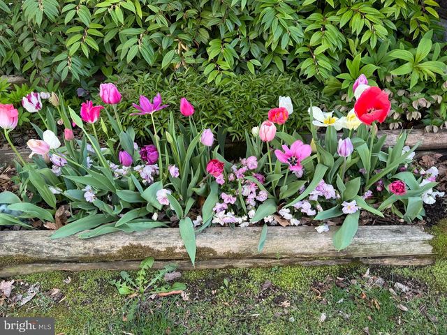 13855 LAURA RATCLIFF CT, Centreville, VA 20121