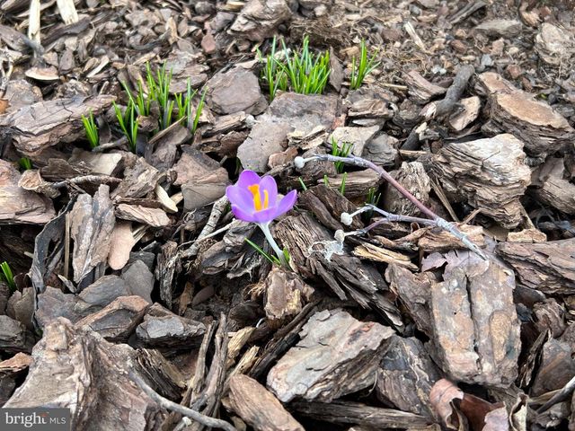 13855 LAURA RATCLIFF CT, Centreville, VA 20121