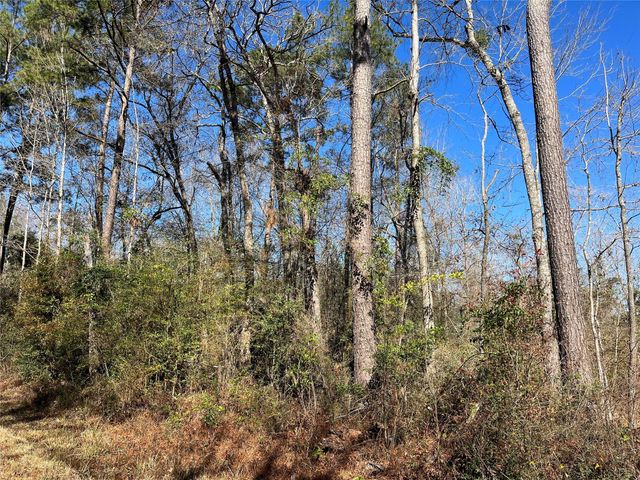 000 Pine Valley Drive, Shepherd, TX 77371