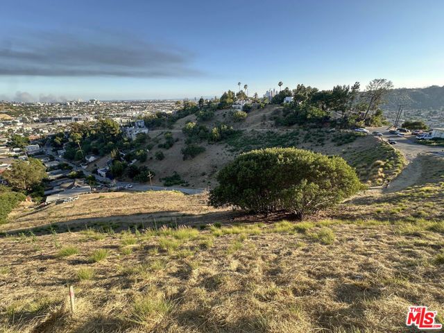 0 Beech & Amp, Los Angeles, CA 90065