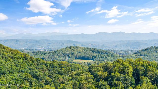 330 Laurel Mtn Rd, Madisonville, TN 37354