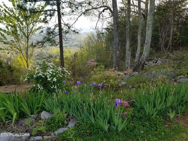 330 Laurel Mtn Rd, Madisonville, TN 37354