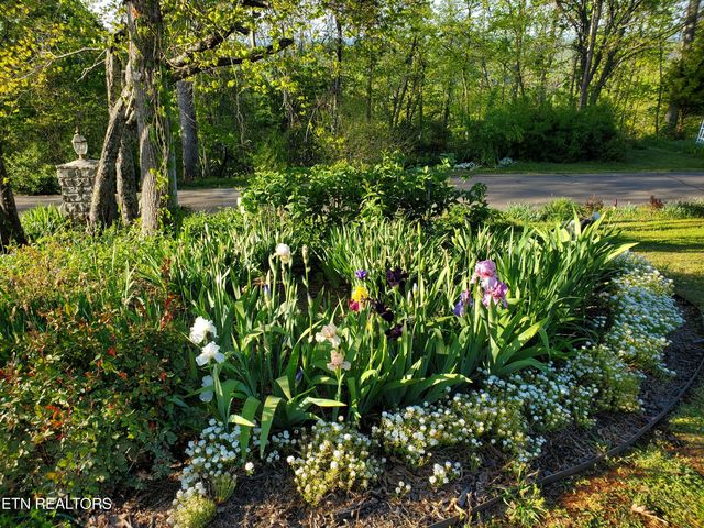 330 Laurel Mtn Rd, Madisonville, TN 37354