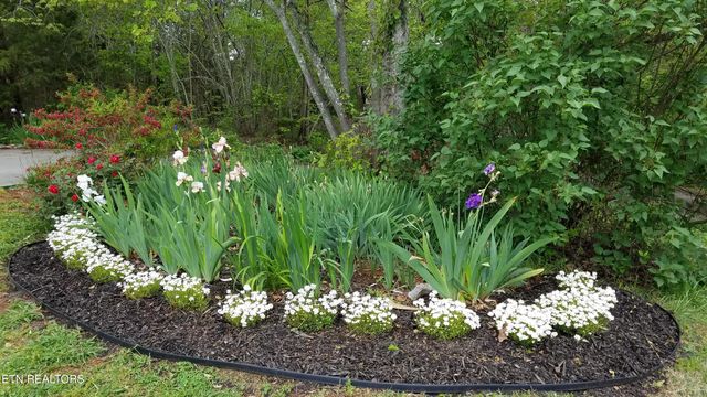 330 Laurel Mtn Rd, Madisonville, TN 37354