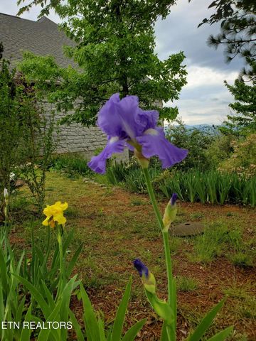 330 Laurel Mtn Rd, Madisonville, TN 37354