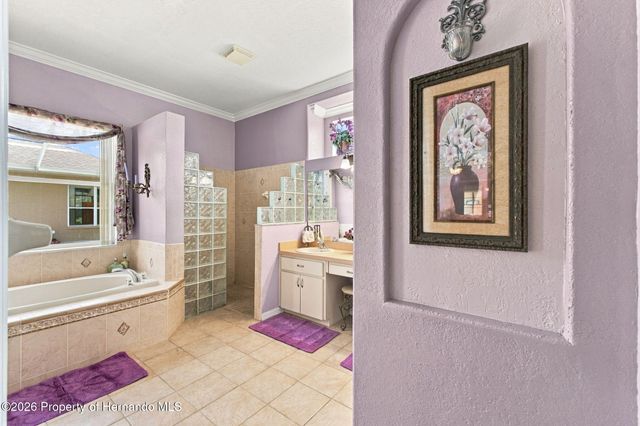 12061 Sapphire Drive, Spring Hill, FL 34609