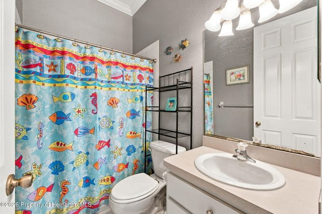 12061 Sapphire Drive, Spring Hill, FL 34609