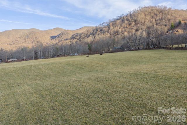 00 Poplar Cove Road, Clyde, NC 28721