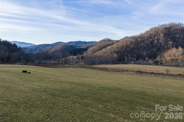 00 Poplar Cove Road, Clyde, NC 28721