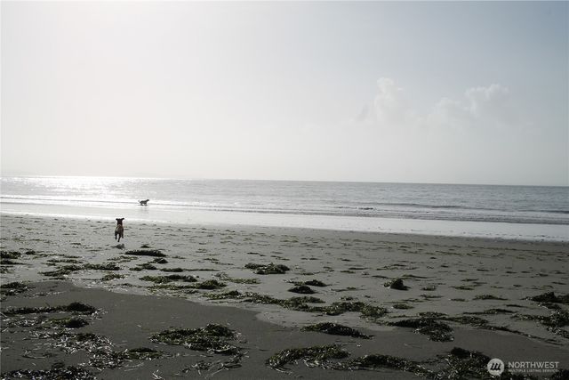 2621 Tokeland Road, Tokeland, WA 98590