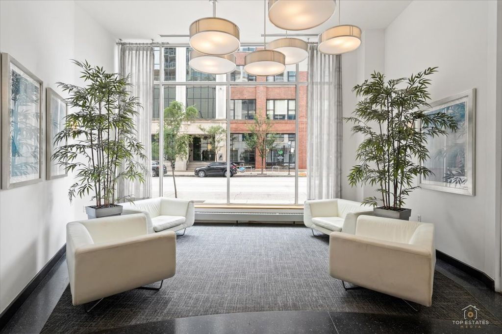 757 N Orleans Street 805, Chicago, IL 60654 — photo 5
