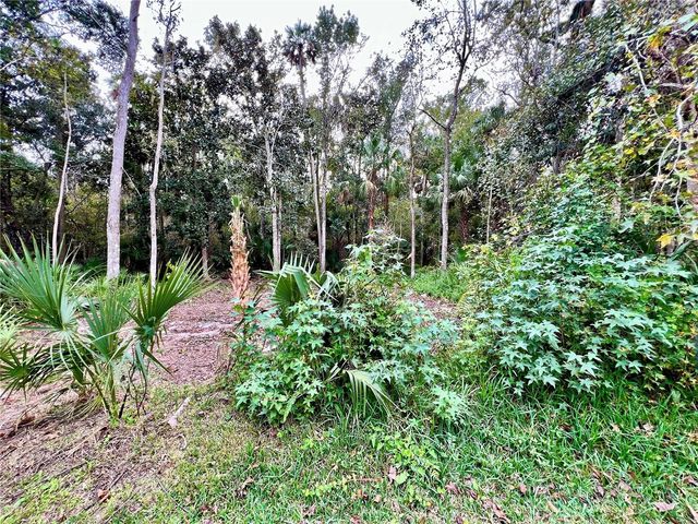 839 LAKE EVALYN DRIVE, Celebration, FL 34747