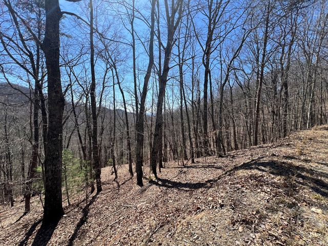 Lot 17 Panorama Dr Wolf Mountain Estates, Murphy, NC 28906