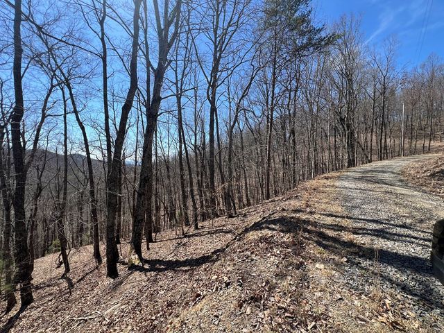 Lot 17 Panorama Dr Wolf Mountain Estates, Murphy, NC 28906