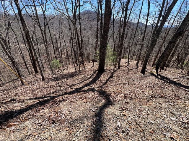 Lot 17 Panorama Dr Wolf Mountain Estates, Murphy, NC 28906