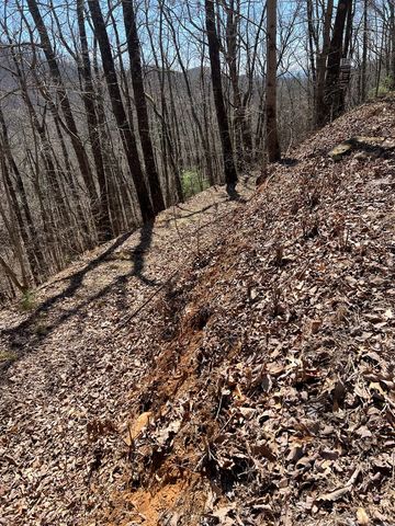Lot 17 Panorama Dr Wolf Mountain Estates, Murphy, NC 28906