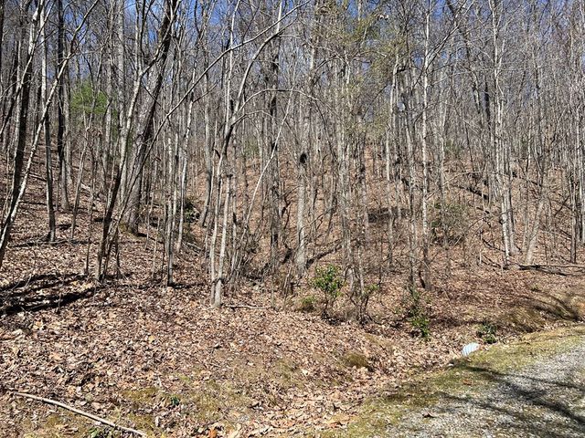 Lot 17 Panorama Dr Wolf Mountain Estates, Murphy, NC 28906