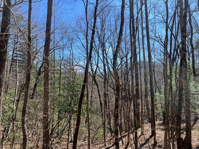 Lot 17 Panorama Dr Wolf Mountain Estates, Murphy, NC 28906