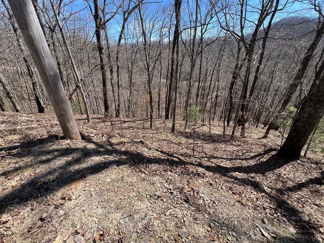 Lot 17 Panorama Dr Wolf Mountain Estates, Murphy, NC 28906