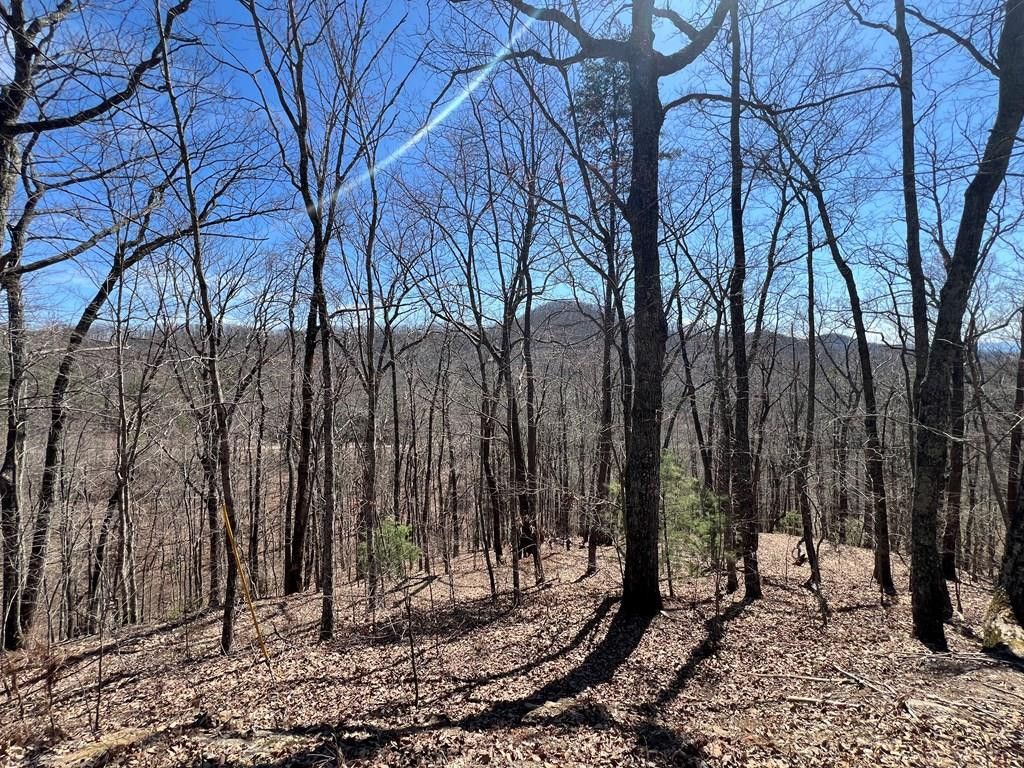 Lot 17 Panorama Dr Wolf Mountain Estates, Murphy, NC 28906