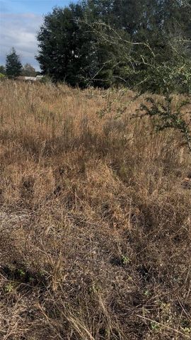 Lot 13.14 SW 151ST AVE, Ocala, FL 34481