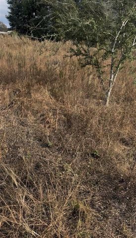 Lot 13.14 SW 151ST AVE, Ocala, FL 34481