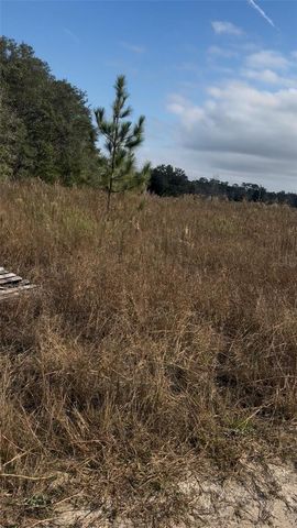 Lot 13.14 SW 151ST AVE, Ocala, FL 34481