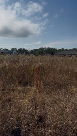 Lot 13.14 SW 151ST AVE, Ocala, FL 34481