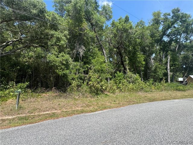1650 N Paulette Terrace, Inverness, FL 34453