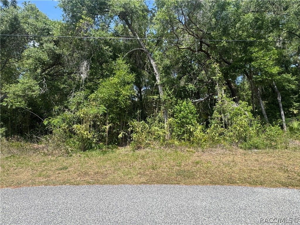 1650 N Paulette Terrace, Inverness, FL 34453