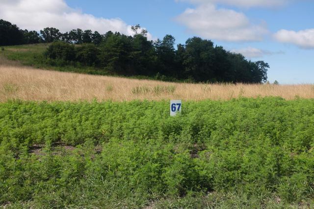 36 Wolf Bend, East Bernstadt, KY 40729