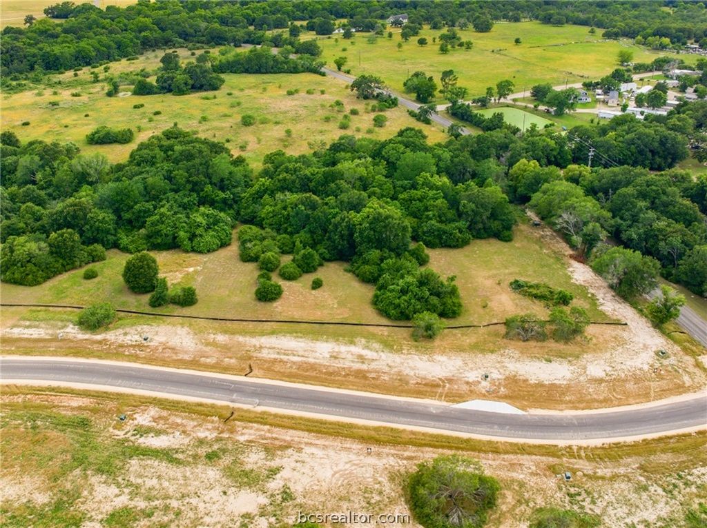 10704 Cook Crossing, College Station, TX 77845 — photo 4