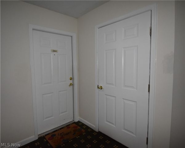 23004 Chandlers Lane 4-344, Olmsted Falls, OH 44138