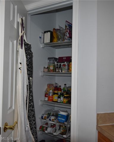 23004 Chandlers Lane 4-344, Olmsted Falls, OH 44138