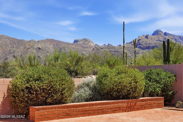529 E Squirrel Tail Drive, Tucson, AZ 85704