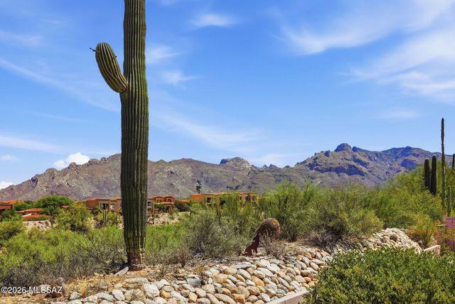 529 E Squirrel Tail Drive, Tucson, AZ 85704