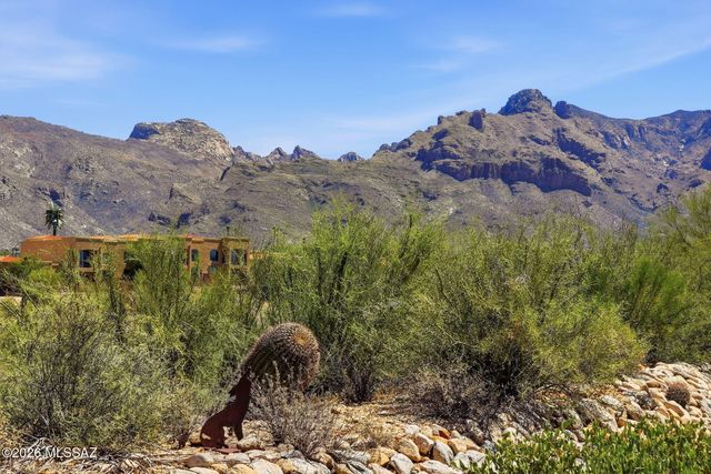 529 E Squirrel Tail Drive, Tucson, AZ 85704