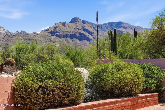 529 E Squirrel Tail Drive, Tucson, AZ 85704
